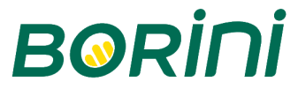 Borini